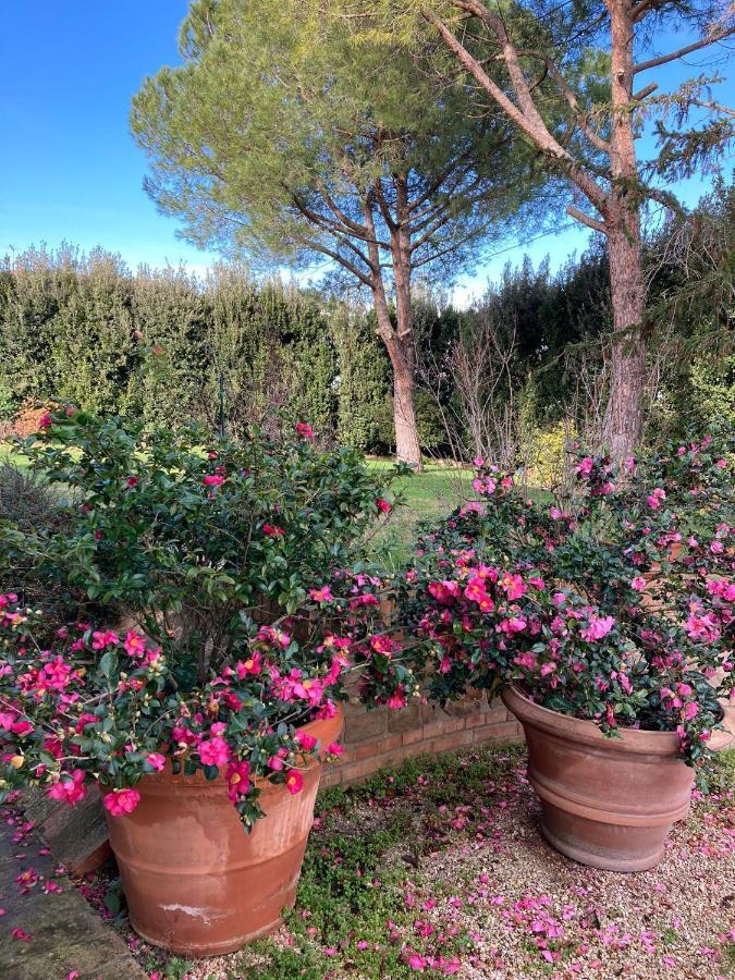 B&B Villa Fioreconero Montacuto エクステリア 写真